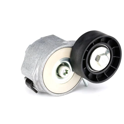 Imagen de SKF VKM 32046 Polea Tensora con material de fijación OPEL: Zafira B, Astra H Hatchback, GTC, FIAT: Doblo II Furgón / Familiar, Stilo Hatchback