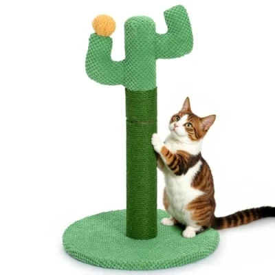 Imagen de Rascador para Gatos Cactus 50 cm Happy &amp; Polly Poste en Cuerda de Yute Natural con Base Estable Gatitos y Adultos Interiores Verde