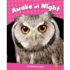 Imagen de Penguin Kids 2 Awake At Night Reader Clil