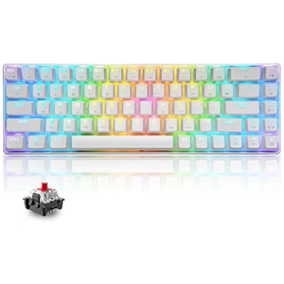 Imagen de T8 Teclado Mecánico RGB 60%, para Juegos con Cable Compacto 65%, Backlit LED 18 RGB, QWERTY Mini 68 Teclas Full Keys Anti ghosting PS4, Xbox, PC, Laptop, MAC Interruptor Rojo/Blanco