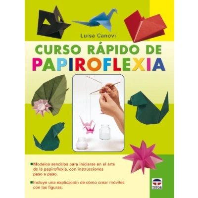 Imagen de Curso Rápido de Papiroflexia (SIN COLECCION)
