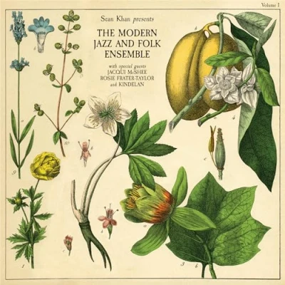 Imagen de Sean Khan Presents the Modern Folk &amp; Jazz Ensemble [Vinilo]