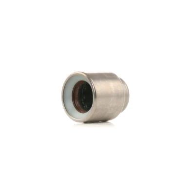 Imagen de SACHS 1863 869 005 Cojinete guía, embrague VOLKSWAGEN: LT 28 35 II Bus, 46 2 Kasten, Passat B5 GP Berlina, AUDI: A4 B6 Avant, A6 C5 Berlina