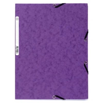 Imagen de Exacompta 55508E Carpeta con goma, A4, color morado