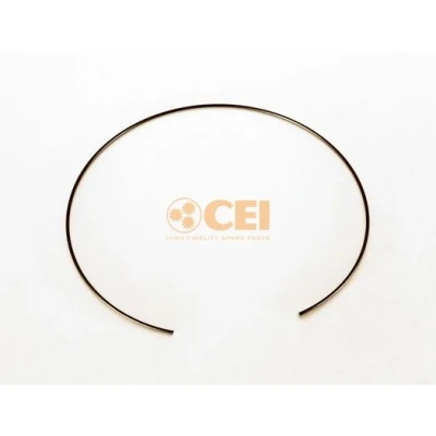 Imagen de Circlip C.E.I. 111.209