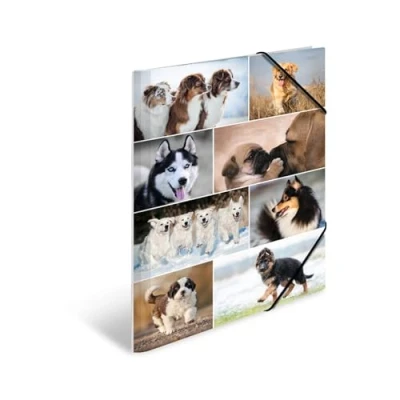 Imagen de HERMA 19218 carpeta de dibujo Animales con motivo Canino, A3, cartón resistente, impresión interior, 1 palmo