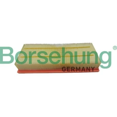 Imagen de Filtro de aire Borsehung B12403