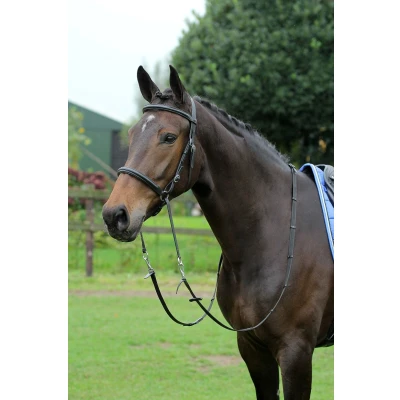 Imagen de Horka Bitless Bridle