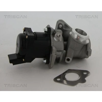 Imagen de TRISCAN 8813 10010 Válvula EGR eléctrico con juntas CITROËN: C4 Picasso 1, Xsara Picasso, Berlingo II, FORD: Focus 2, C Max, FIESTA 5