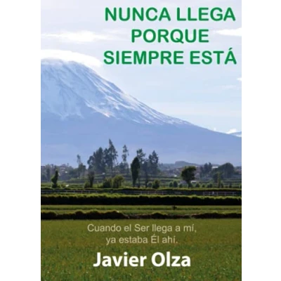 Imagen de Nunca llega porque siempre está (SIN COLECCION)