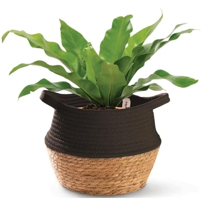 Imagen de Praknu Cesto Macetero Mimbre de Hierba Marina y Algodón Sostenible para Plantas como Cesta Decorativa Redondo Estilo Bohemio 25cm (Negro)