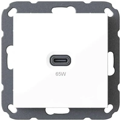 Imagen de USB C 65 Watt Charger/Charger 6560 x 0000 for Home Installation, Standard Switch Programmes (55 55 mm), Power Delivery, T65.00 Professional