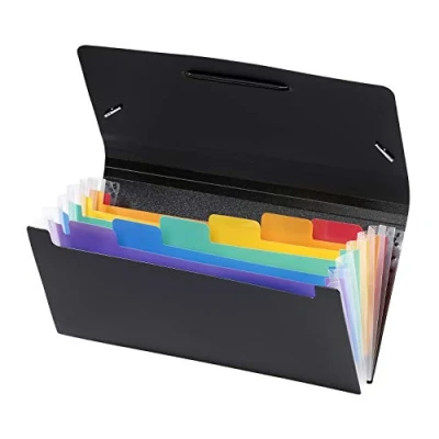 Imagen de Viquel Rainbow Class Carpeta de escritorio con 6 posiciones (organizador extensible), diseño cheque plástico