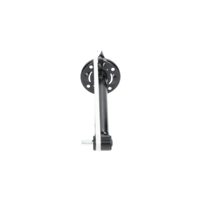 Imagen de KAVO PARTS SSA 10019 Amortiguador Eje trasero Presión de gas Bitubular con asiento muelle Anillo inferior, Espiga arriba