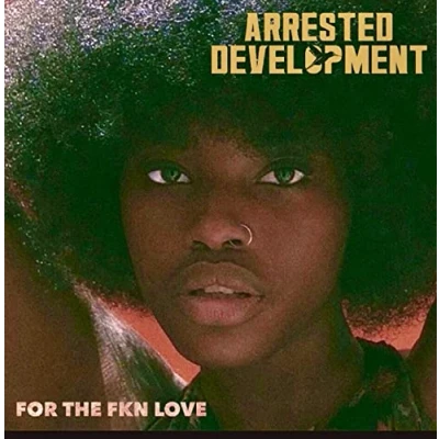 Imagen de For the Fkn Love [Vinilo]