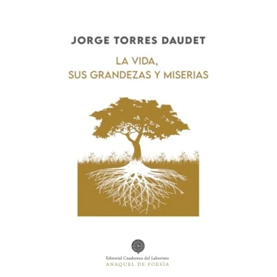 Imagen de La Vida Sus Grandezas Y Miserias