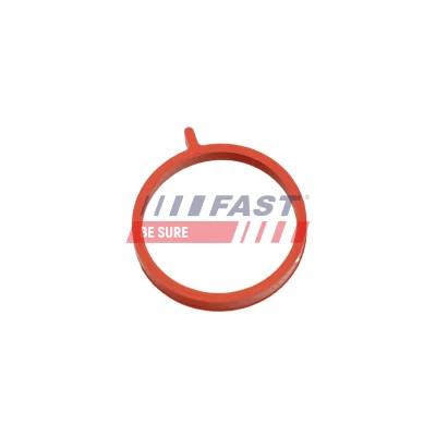 Imagen de FAST FT48964 Junta anular, conducto aire admisión