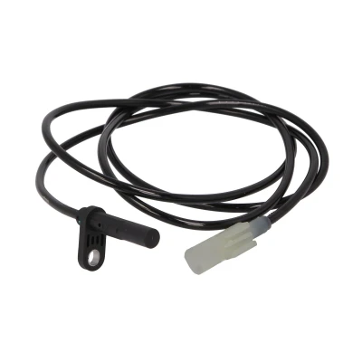 Imagen de Sensor, revoluciones de la rueda DELPHI SS21317 12B1