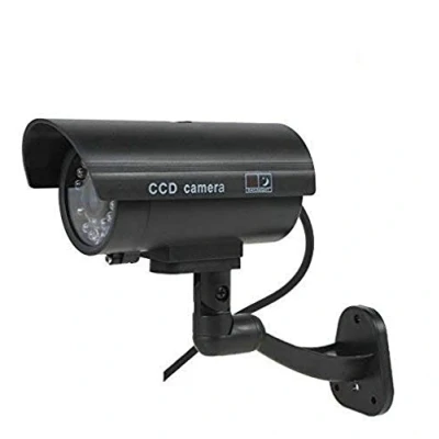 Imagen de BW BW2600 Cámara de videovigilancia simulada
