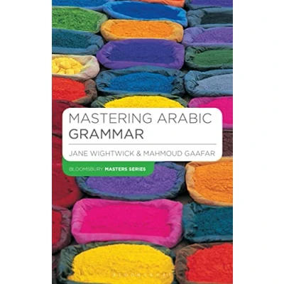Imagen de Mastering arabic grammar