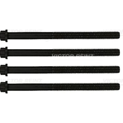 Imagen de REINZ 14 32069 01 Juego de Tornillos Culata dentado exterior