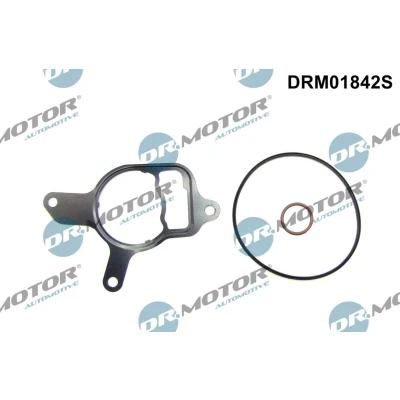 Imagen de DR.MOTOR AUTOMOTIVE DRM01842S Kit de juntas, bomba vacío