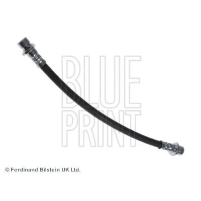 Imagen de BLUE PRINT ADH253116 Latiguillos de Freno Eje trasero, derecha 299 HONDA: Jazz 2