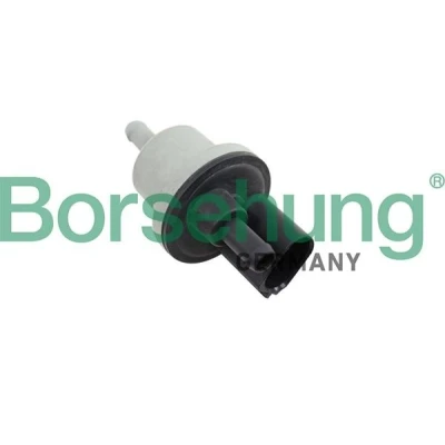Imagen de Borsehung B12188 Válvula, filtro de carbón activado SEAT: Leon II Hatchback, AUDI: A4 B6 Avant norauto, oscaro, mister auto