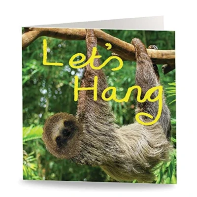 Imagen de Maturi Tarjeta de felicitación cumpleaños con texto en inglés Lets Hang (15,5 x 15,5 cm), diseño perezoso