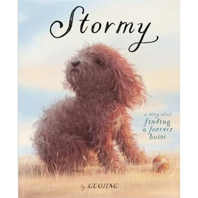 Imagen de Stormy: a Story About Finding Forever Home