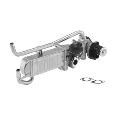 Imagen de Módulo EGR WAHLER 710862D