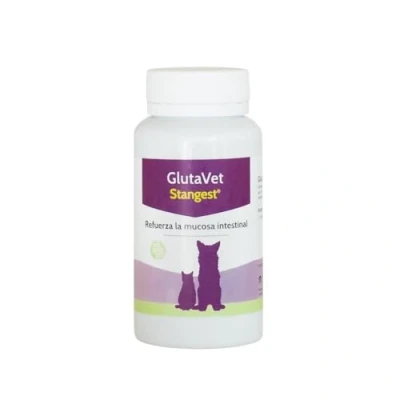 Imagen de STANGEST Glutavet 60Cpd