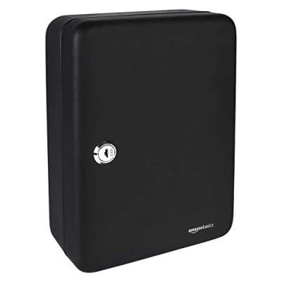 Imagen de Amazon Basics Armario de seguridad para llaves, acero, con cerradura, 48 Negro, 19.99 x 17.78 24.89 cm