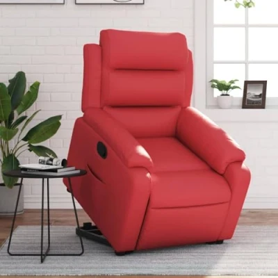 Imagen de Sillón reclinable elevable