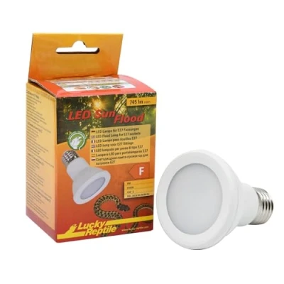 Imagen de Lucky Reptile LED Sun Flood 6,5 Watt Foco de luz para Bases E27 lámpara terrarios con Rendimiento Impresionante iluminación terrario 1 Unidad