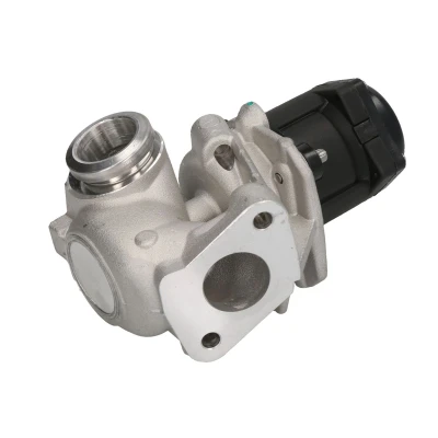Imagen de NGK 97868 Válvula EGR eléctrico con juntas FORD: FIESTA 5, 6, Fusion Familiar, PEUGEOT: 207 Hatchback, 206 SW