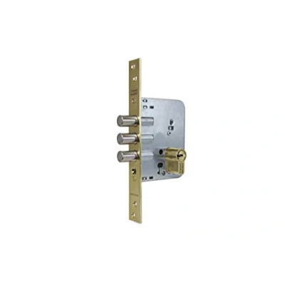 Imagen de Tesa Assa Abloy, R201B566L, Cerradura de seguridad monopunto R201B, entrada 50 mm, Latonado