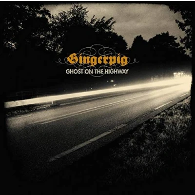 Imagen de Ghost On The Highway [Vinilo]