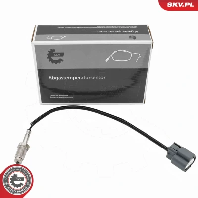 Imagen de Sensor, temp. gas escape ESEN SKV 30SKV475