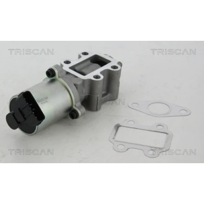 Imagen de TRISCAN 8813 13102 Válvula EGR electrónico con juntas TOYOTA: RAV4 III SUV, Auris Hatchback, Corolla Verso