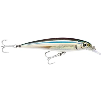 Imagen de Rapala Señuelo X Rap Saltwater Material de Pesca para Grandes Peces Carnívoros, Unisex Adult, Anchovy, 13cm/46g