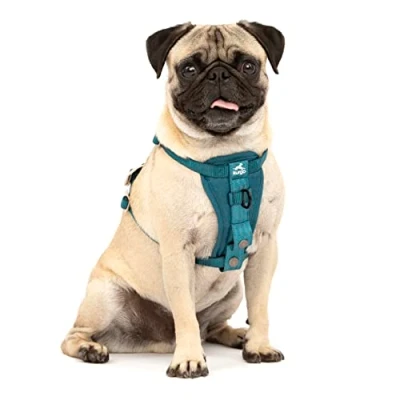 Imagen de Kurgo Tru Fit Arnés para Perro, de Paseo Perros, Anillo en D Entrenamiento sin Tirones, Incluye Mosquetón Seguridad Azul, S