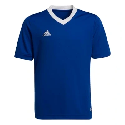 Imagen de adidas Entrada 22 Jersey T Shirt, Team Royal Blue, 140 Unisex niños