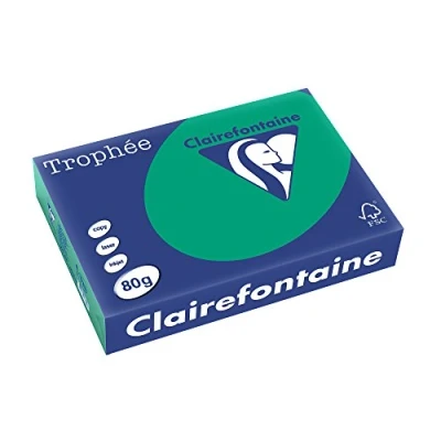 Imagen de Clairefontaine Resma de papel, 80 gr/m², 500 hojas, Verde Pino, A4 (21 x 29.7 cm)