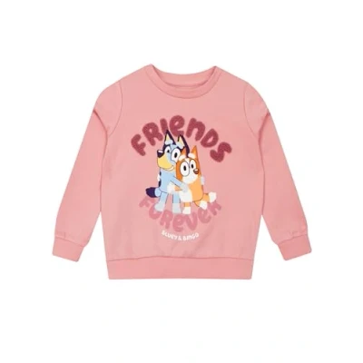 Imagen de Bluey Sudadera Niñas Sudaderas Bingo Jersey Niña Rosa 2 3 años