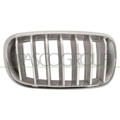 Imagen de BLIC 6502 07 00969966P Parrilla Delante, derecha titanio, cromo BMW: X5
