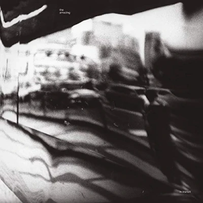 Imagen de In Transit [Vinilo]