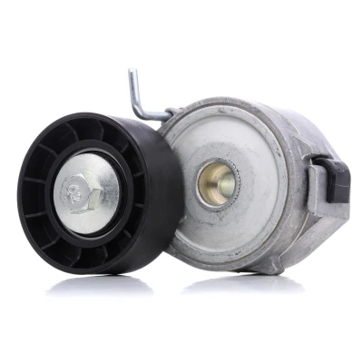 Imagen de DAYCO APV2424 Tensor de Correa PEUGEOT: 508 I SW, Berlina, 607 CITROËN: C5 II Hatchback, FORD: MONDEO 4 Stufenheck