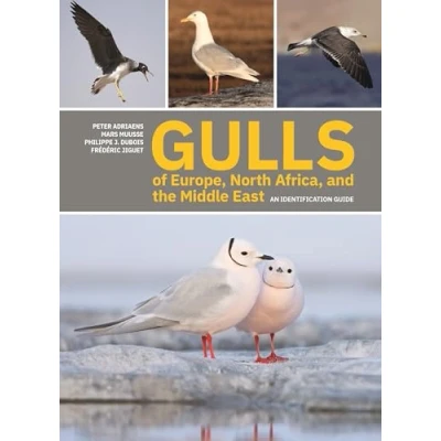Imagen de Gulls Of Europe North Africa And The Middle East: An Identification Gu