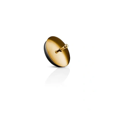 Imagen de Eva Solo Fliptop Lid Brass (568056)